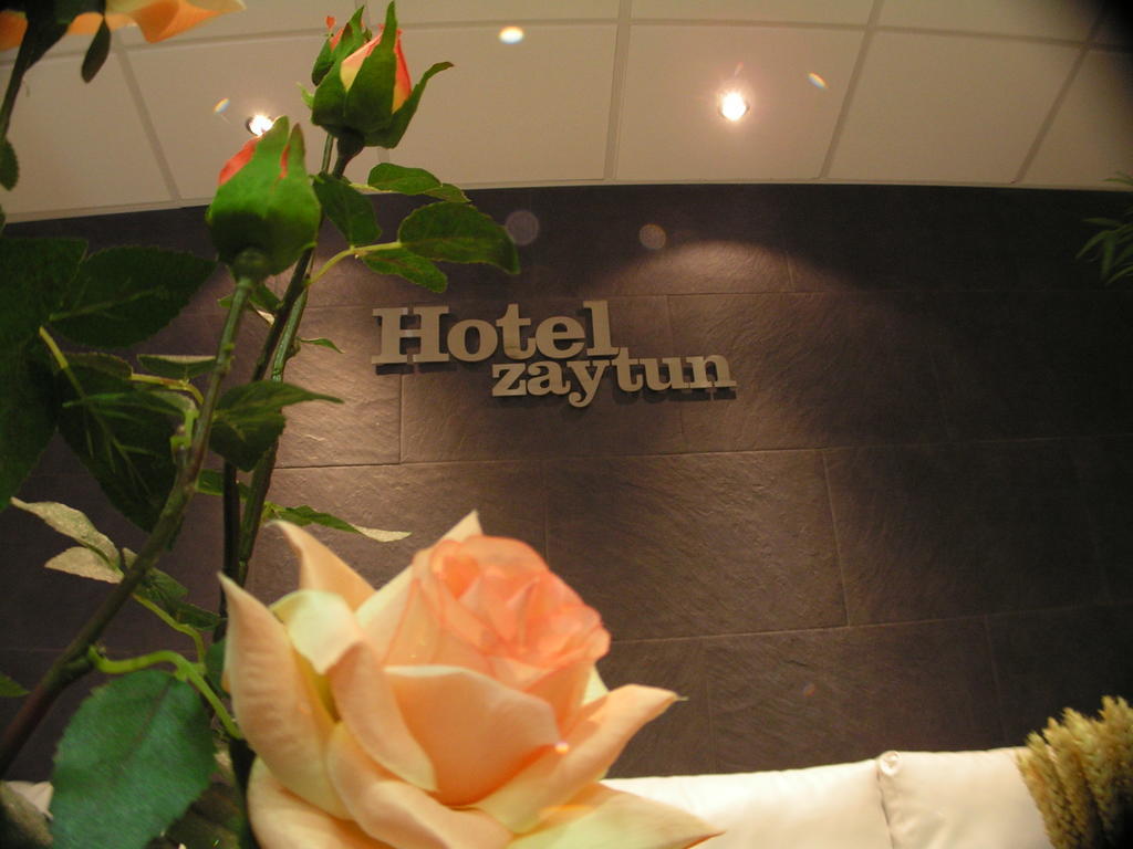 Hotel Zaytun Mequinenza Ngoại thất bức ảnh